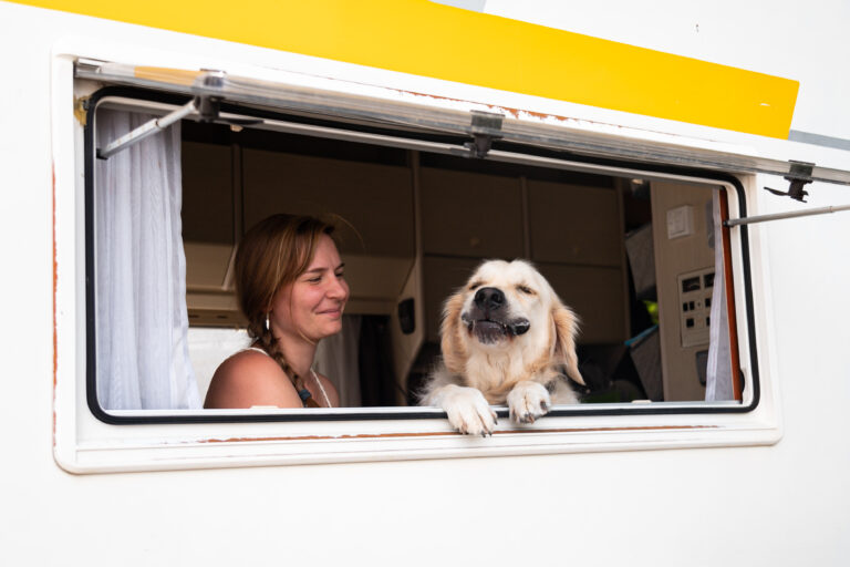 Lire la suite à propos de l’article Mon chien en road trip.